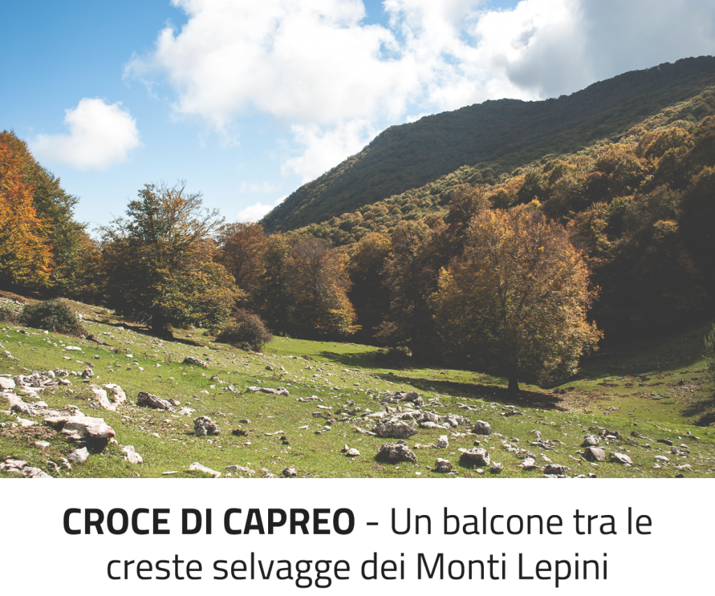 nel Parco Nazionale del Circeo, Monti Lepini, Monti Ausoni e nel Parco Naturale dei Monti Aurunci
