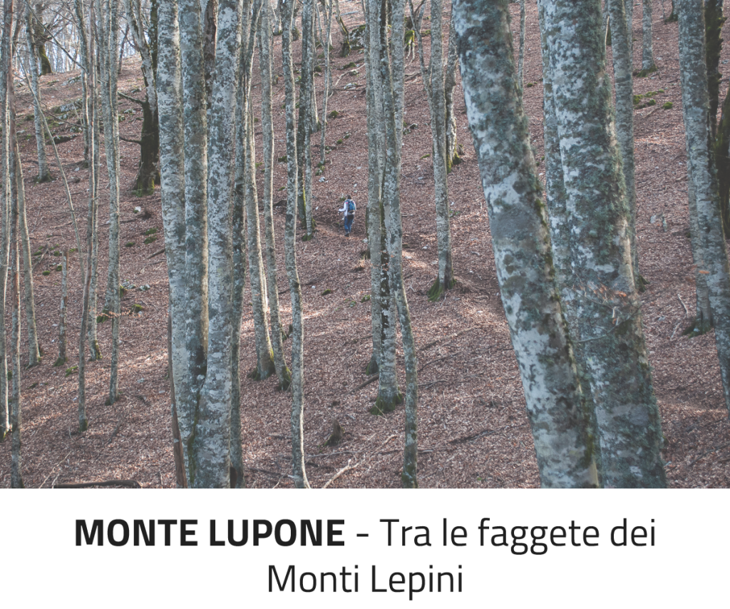 nel Parco Nazionale del Circeo, Monti Lepini, Monti Ausoni e nel Parco Naturale dei Monti Aurunci