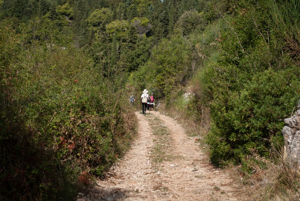 nimble_asset_26062006-DSC_0132