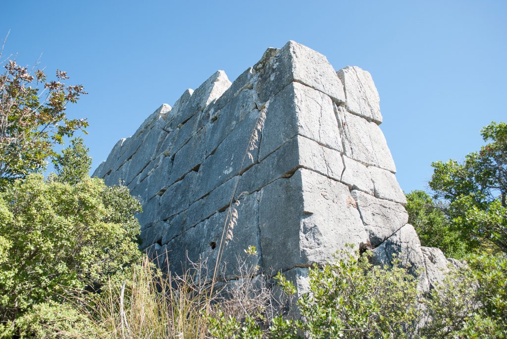 nimble_asset_16082006-16082006-DSC_0140