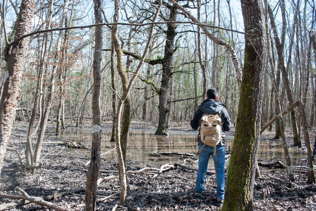 nimble_asset_23012006-23012006-DSC_0379