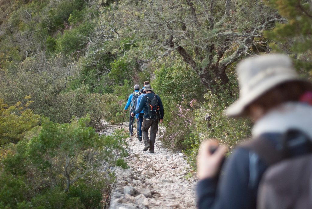 nimble_asset_DSC_0314