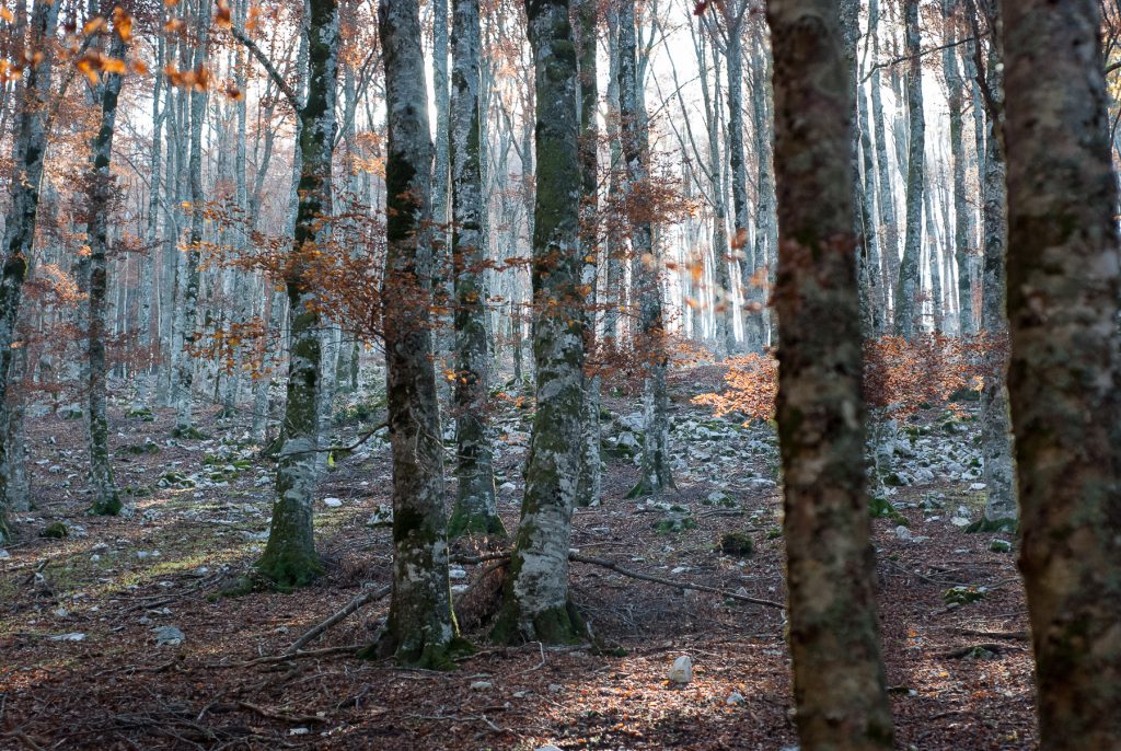 Escursioni e trekking sui Monti Lepini
