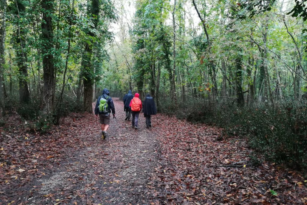 Escursioni nel Parco Nazionale del Circeo
