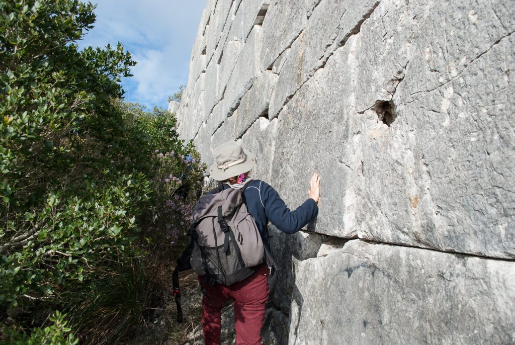 nimble_asset_DSC_0099