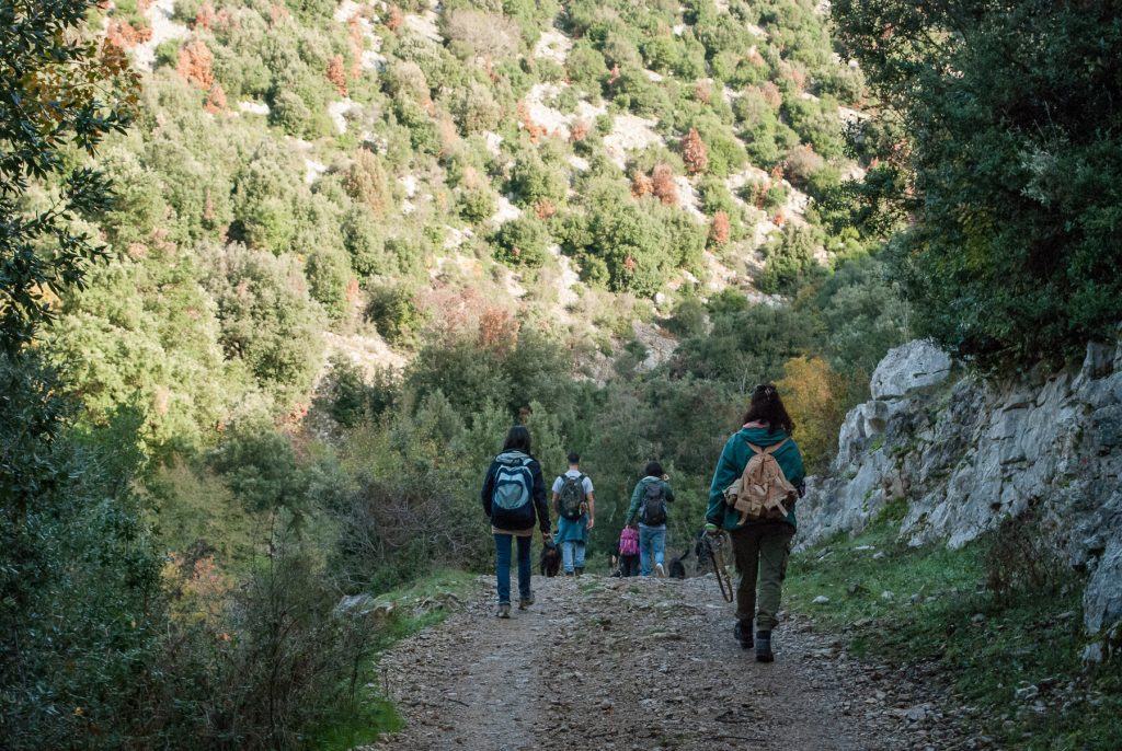 nimble_asset_DSC_0055