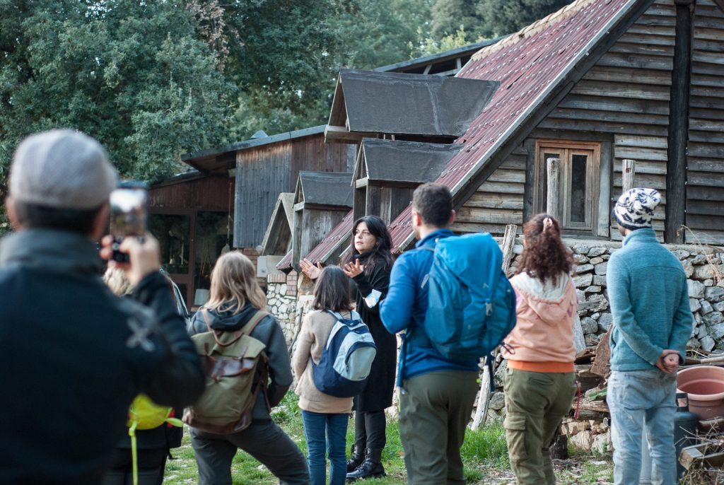 nimble_asset_DSC_0391