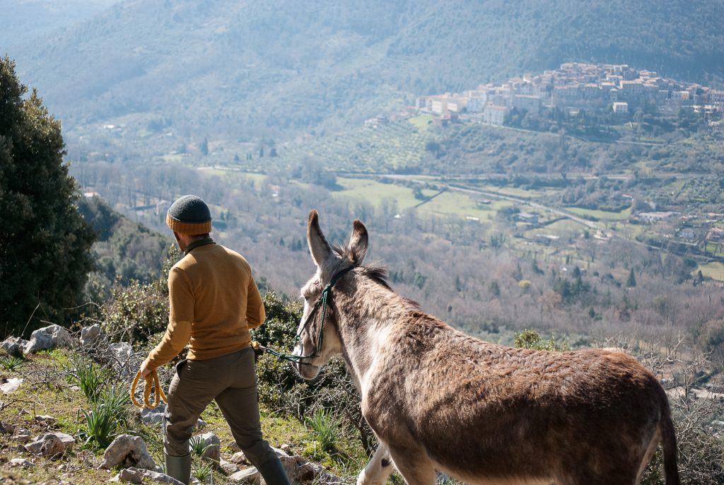 Escursione someggiata e degustazione prosciutto e formaggio di Bassiano