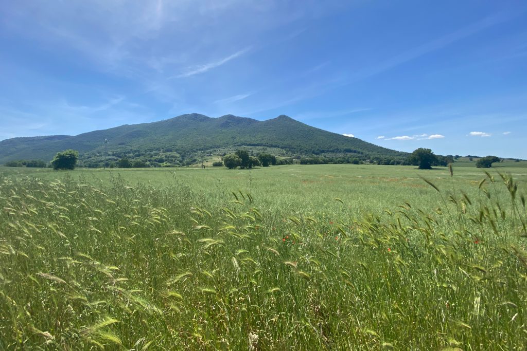 Escursioni nel Lazio Monte Soratte