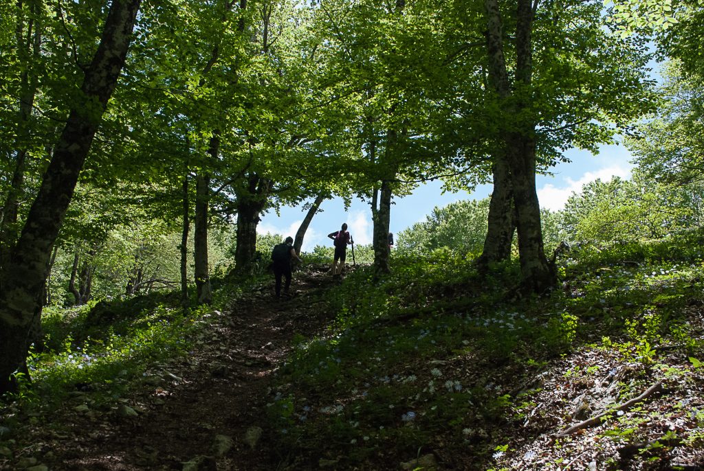 escursioni nel Lazio sui Monti Lepini