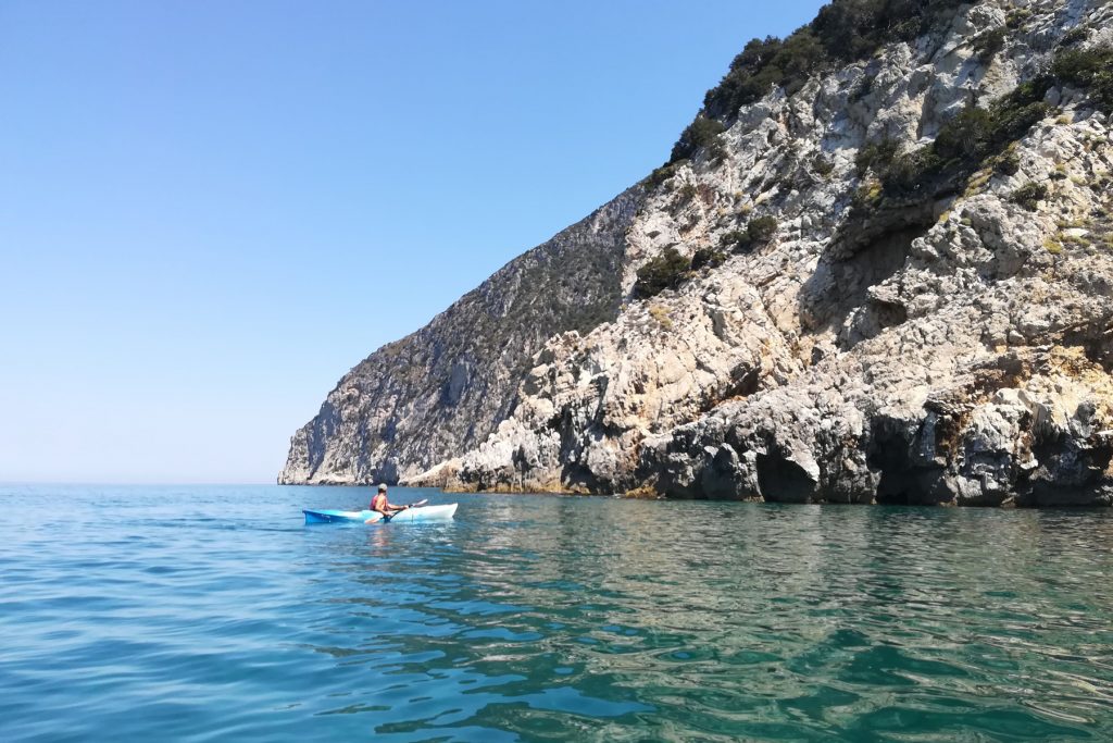 nimble_asset_kayakmare1