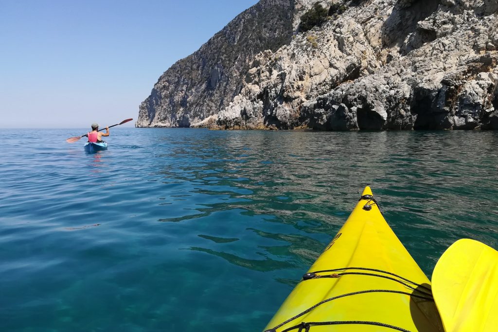 nimble_asset_kayakmare4