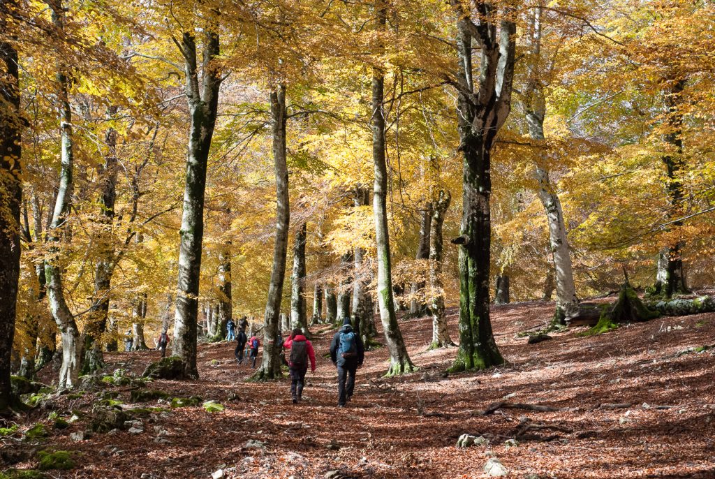 Escursioni d'Autunno in Abruzzo e Lazio