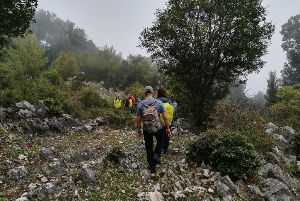 nimble_asset_DSC_0170_