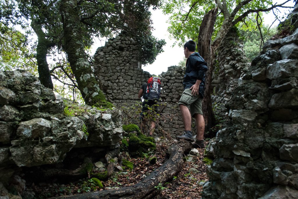 nimble_asset_ECU-3-11