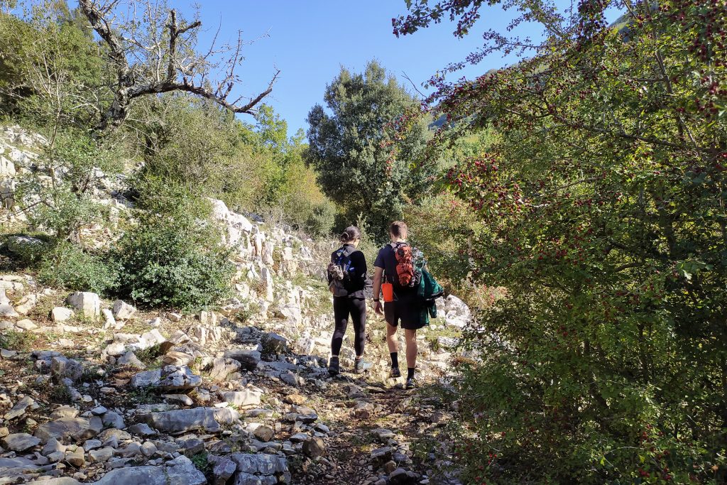 nimble_asset_IMG_20201010_105559