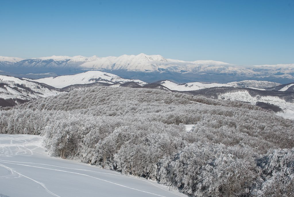 escursione in ciaspole sulla neve di Monte Livata nel Parco Monti Simbruini