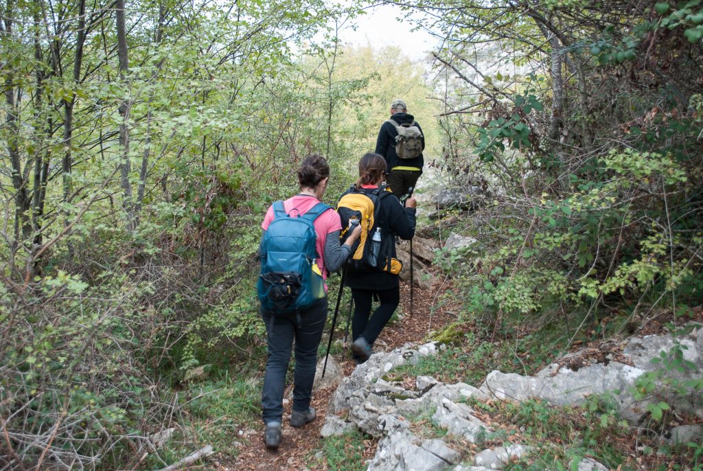 Escursioni con degustazione di formaggio e prosciutto a Bassiano
