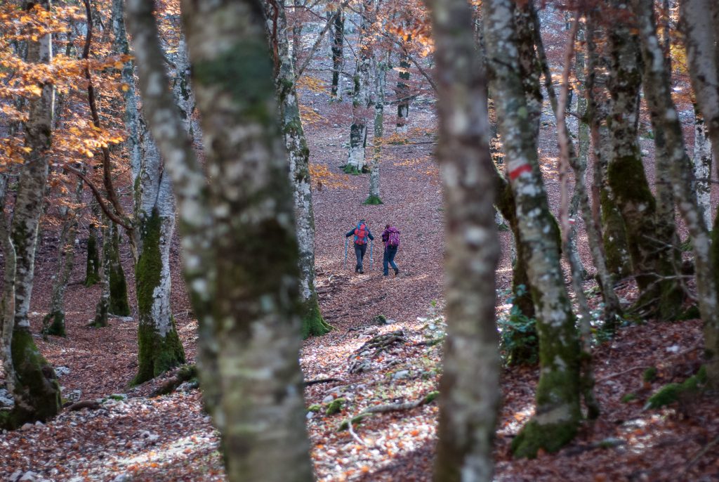 Escursione Monti Sabini e presepe di Greccio