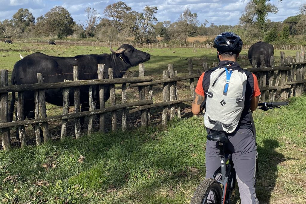 E-Bike tour guidati in provincia di Latina e nel Lazio