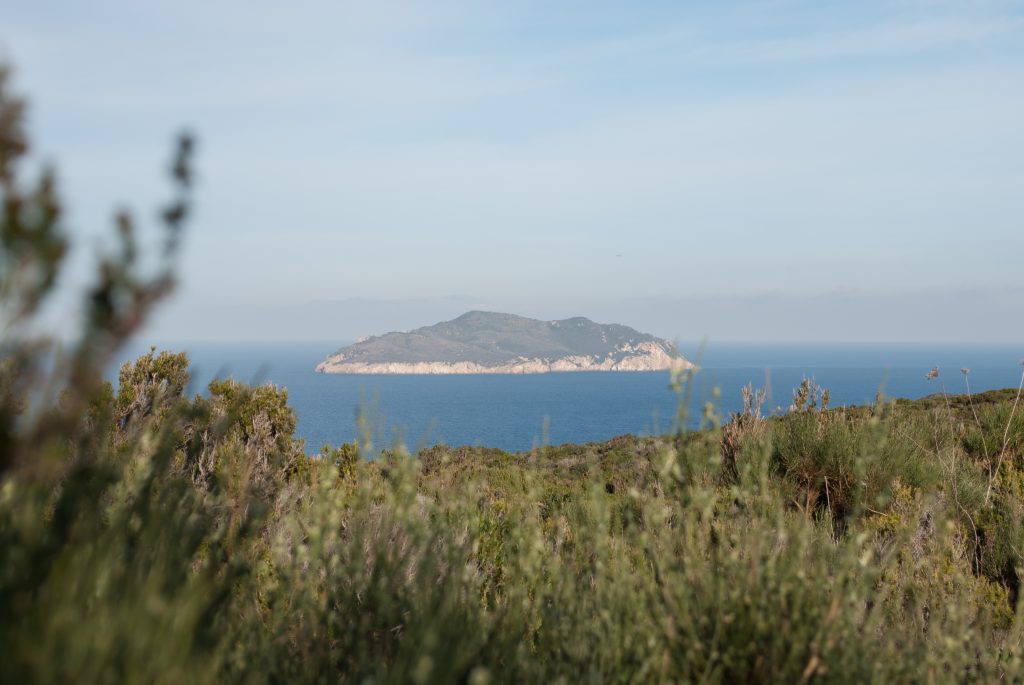 Escursioni Isola di Ponza e Zannone