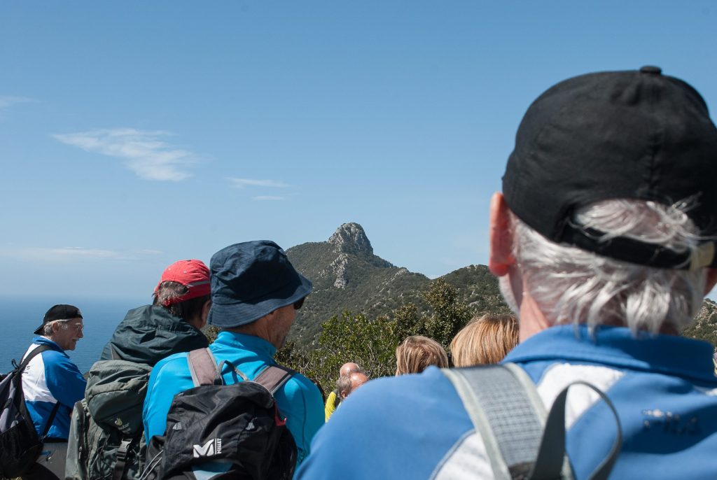 nimble_asset_DSC_0454-scaled