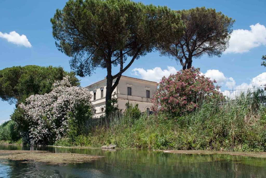 nimble_asset_DSC_0262-scaled