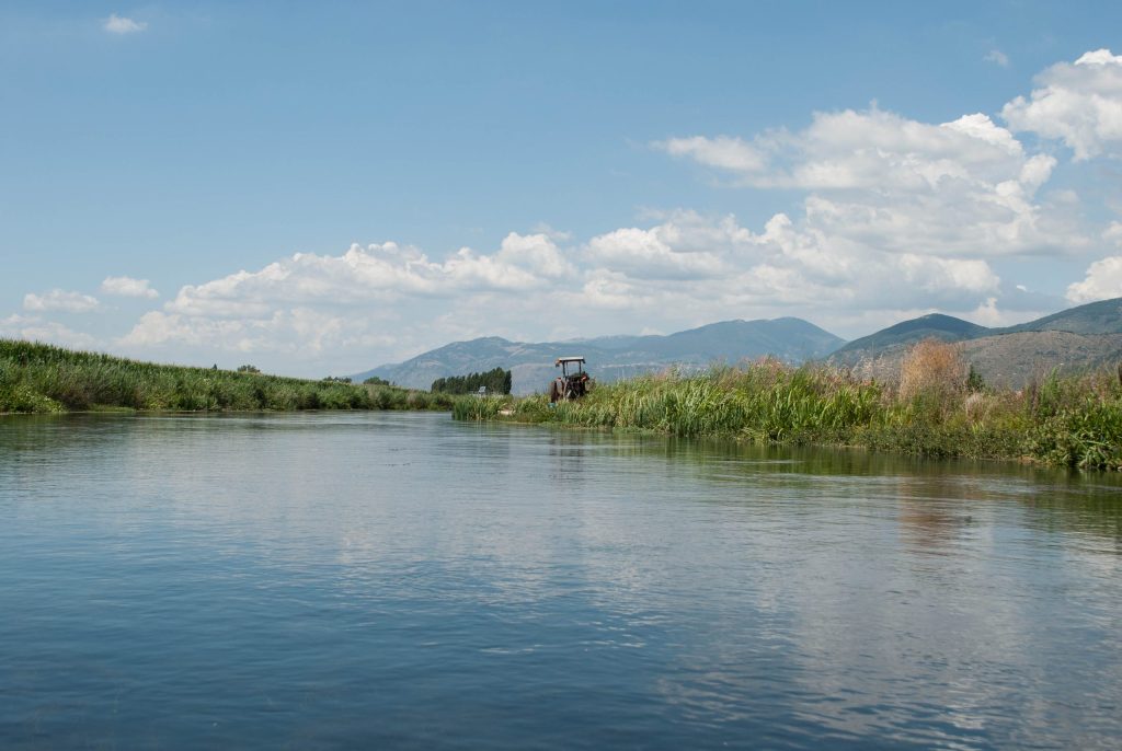 nimble_asset_DSC_0303-scaled